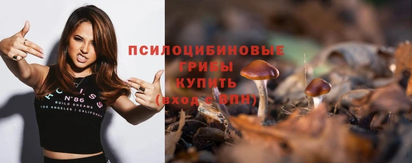 MDMA Богородицк
