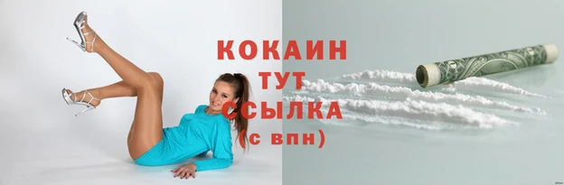 мет Богданович