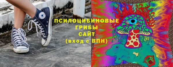 MDMA Богородицк
