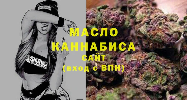 сатива Бородино