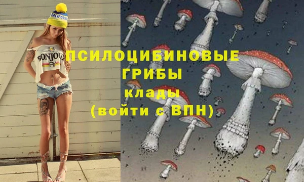 MDMA Богородицк