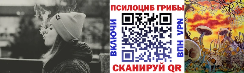 Галлюциногенные грибы Magic Shrooms  наркотики  Новороссийск 